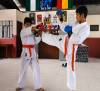 KARATE